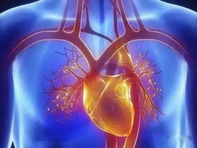 البيتين في علاج أمراض الأوعية الدموية